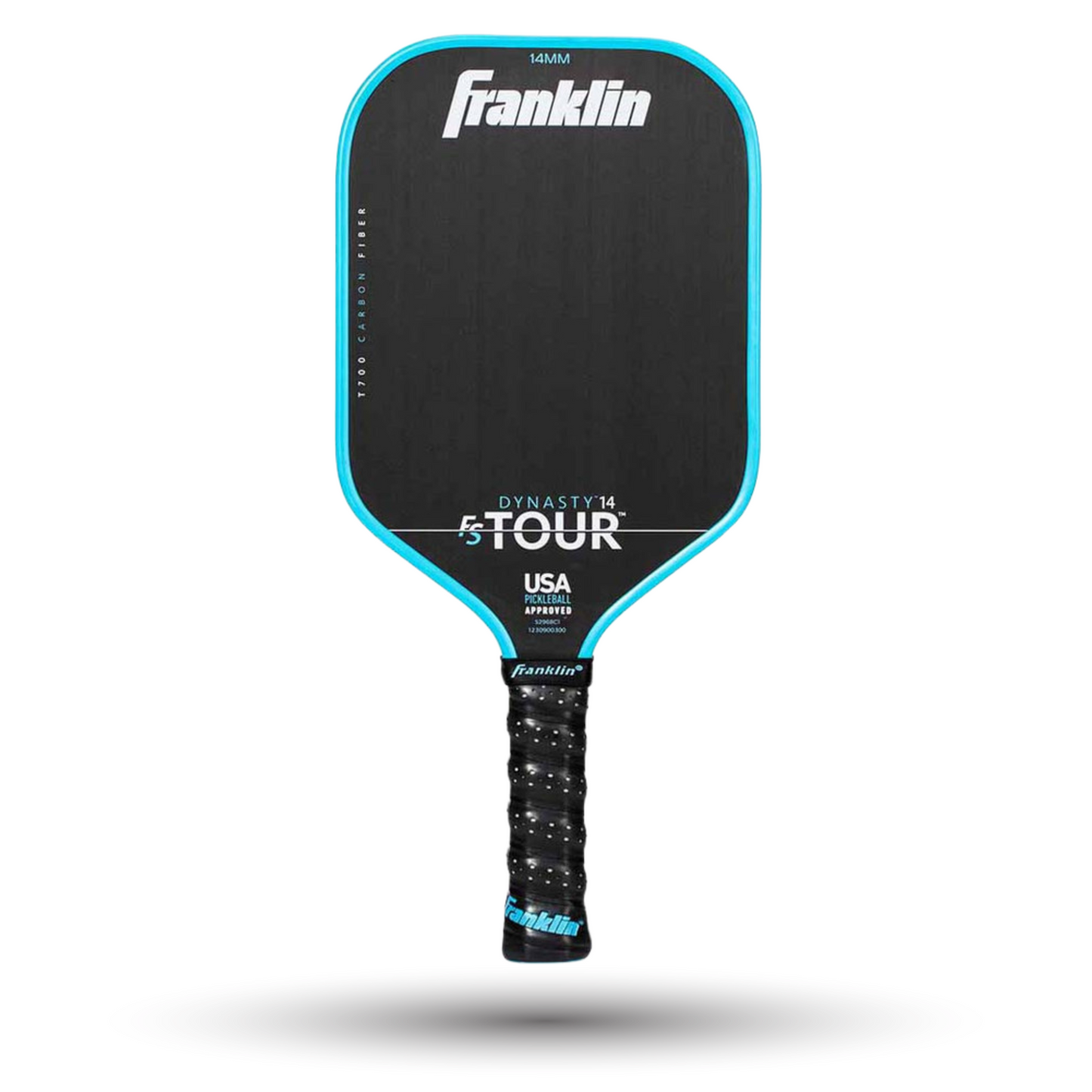 FS Tour Dynasty